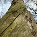 Peeneurlaub * Lassan