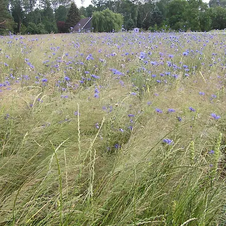 Peeneurlaub * Lassan