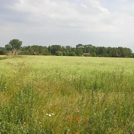 Apartment Peeneurlaub *