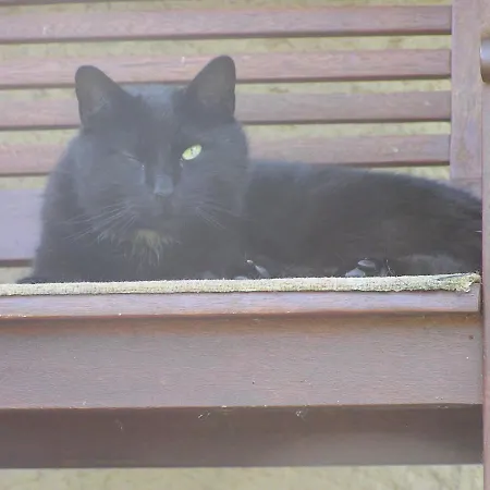 Peeneurlaub Apartment