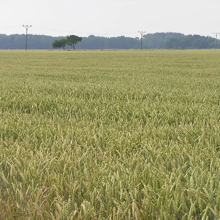 Apartment Peeneurlaub *