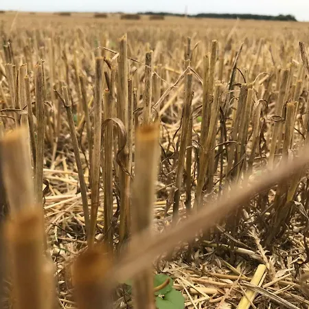 Apartment Peeneurlaub