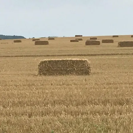Peeneurlaub Appartement Lassan