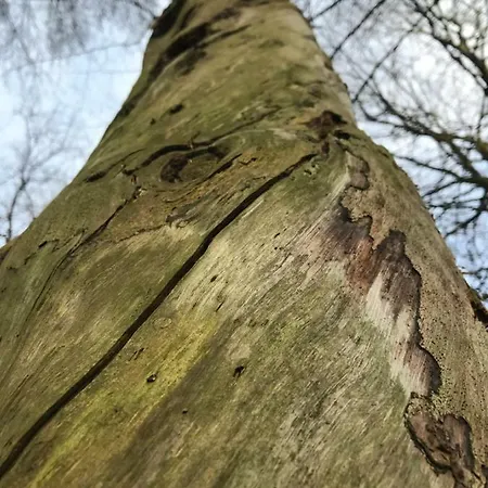 Peeneurlaub * Lassan