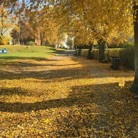 Peeneurlaub Lassan