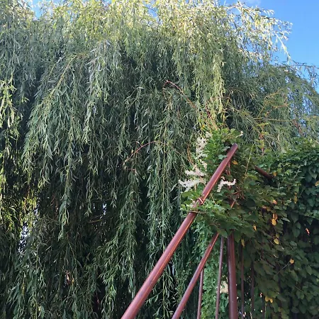 Appartement Peeneurlaub Lassan