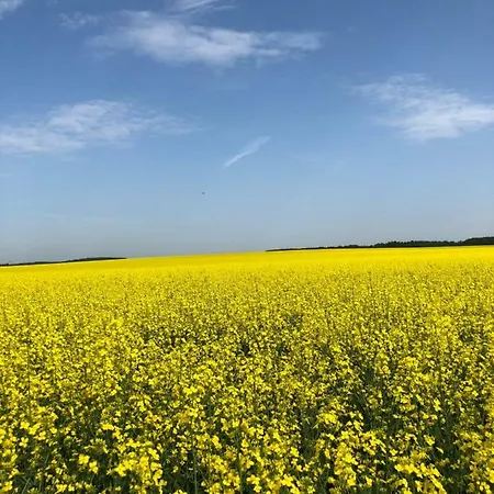 Peeneurlaub Appartement Lassan